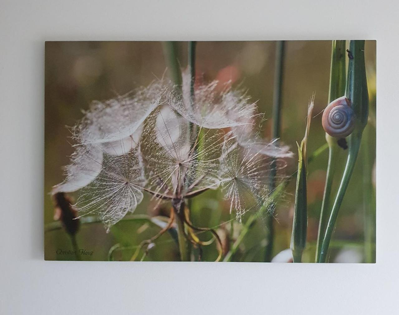 Chambre D'Hotes De Charme, Un Temps En Foret Westhouse Bagian luar foto